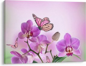 Obraz - Motyl na kwiatach orchidei, liliowy (70x50 cm)