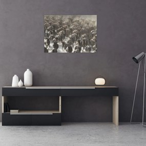 Obraz - Stado antylop gnu (70x50 cm)