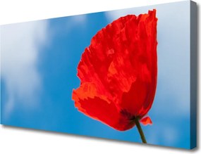 Obraz na płótnie Klasyczna Forma Tulipana