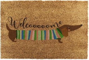 Wycieraczka z włókna kokosowego 40x60 cm Welcome Sausage Dog – Artsy Doormats
