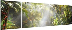 Obraz - Tropikalny las deszczowy (170x50 cm)