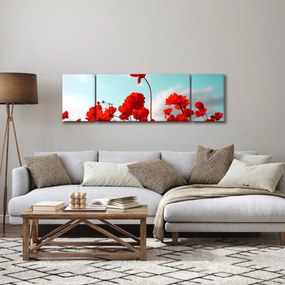 Obraz pola z jasnoczerwonymi kwiatami (170x50 cm)