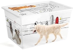 Biały plastikowy pojemnik z pokrywką 55x39x31 cm C Box Style – KIS