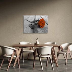 Obraz na szkle - Pomarańczowa róża (70x50 cm)
