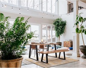 Drewniana ławka w naturalnym kolorze Artur – Bizzotto