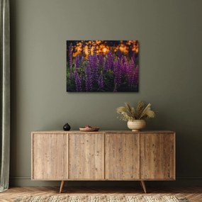 Obraz kwiatów łubinu (70x50 cm)