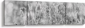 Obraz - Mroźna zima (170x50 cm)