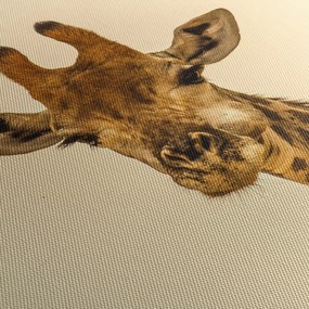 Obraz żyrafy (170x50 cm)