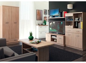 Stolik TV TOPTY 2D, dąb sonoma
