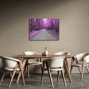Obraz - Ścieżka przez park (70x50 cm)