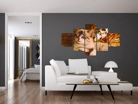 Obraz kota w doniczce (125x70 cm)