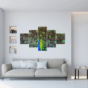 Obraz - Paw (125x70 cm)