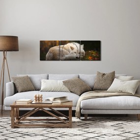 Obraz - Odpoczywający wilk (z zegarem) (90x30 cm)