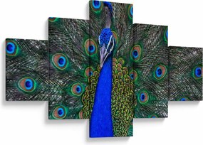 Obraz - Paw (125x70 cm)