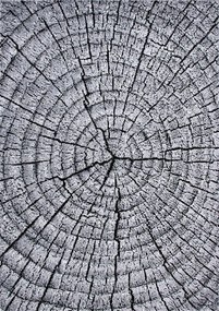 Dywan Koloreo Drzewo 133x190 Prostokąt