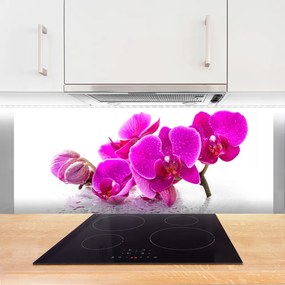 Panel Kuchenny Kolorowe Bratki W Ogrodzie