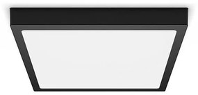 Philips - LED Plafon MAGNEOS LED/20W/230V 2700K czarny