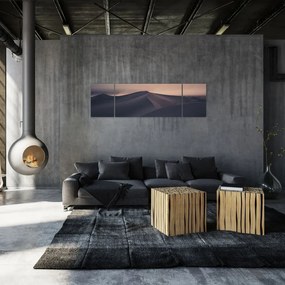 Obraz - Wydmy piaskowe (170x50 cm)
