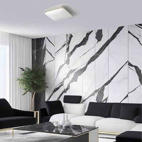 Plafon DABAR 17W LED IP44