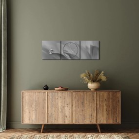 Obraz - Kropla na kwiecie, czarno - biały (z zegarem) (90x30 cm)