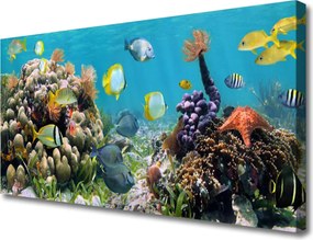 Obraz na płótnie Podwodny Świat Oceanu