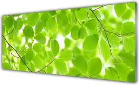 Panel Kuchenny Organiczne Formy Liści