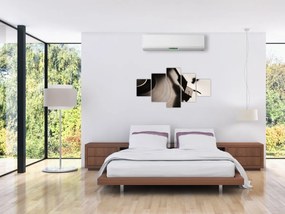 Obraz - Płyta gramofonowa (125x70 cm)