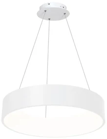 LED Żyrandol na lince OHIO LED/24W/230V