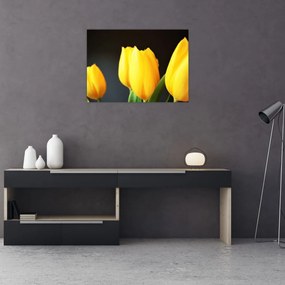 Obraz na szkle - tulipany (70x50 cm)