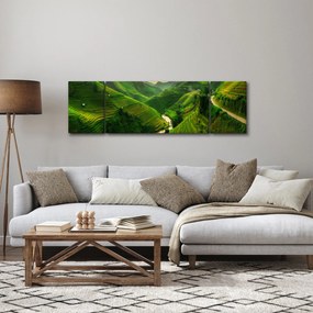 Obraz - Tarasy ryżowe Mu Cang Chai (170x50 cm)