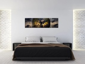 Obraz - Tajemnicze niebo (170x50 cm)