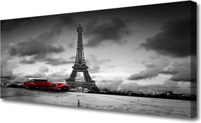 Obraz canvas Samotne Drzewo na Horyzoncie