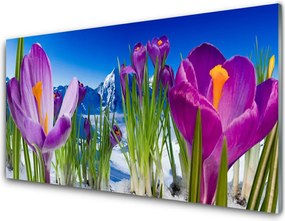 Szkło Ozdobne do Kuchni Świeżość Kwiatów Polnych