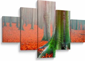 Obraz drzew (125x70 cm)