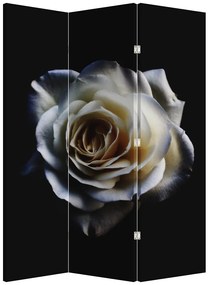 Parawan - Biała róża (126x170 cm)