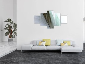 Obraz - Pióra, makro (125x70 cm)