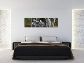Obraz - Wilki na skale (170x50 cm)