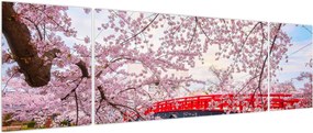 Obraz - Hirosaki, Japonia (170x50 cm)