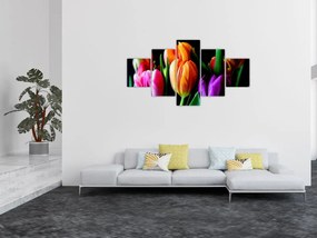 Obraz tulipanów na czarnym tle (125x70 cm)