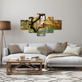 Obraz żółtego klonu japońskiego, Portland, Oregon (125x70 cm)