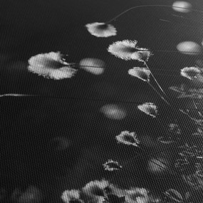 Obraz - Łąka z trawą bawełnianą N⁰1 (170x50 cm)