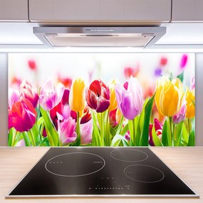 Szkło nad Blatem Tulipany W Porannym Słońcu