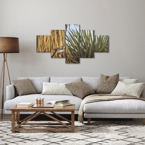 Obraz - Strzyżyk (125x70 cm)