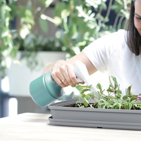 Spryskiwacz Spry 1,2L zielony PROSPERPLAST