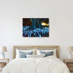 Obraz na szkle - Magiczne drzewo (70x50 cm)