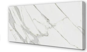 Obraz canvas na ścianę Organiczny Wzór Marmurowy