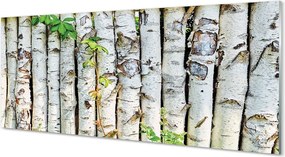 Panel szklany do Kuchni Zielone Liście Brzozy