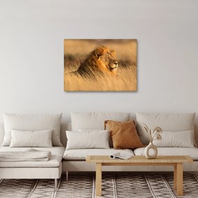 Obraz - Park Narodowy Etosha (70x50 cm)