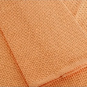 B.E.S. Petrovice Ścierka kuchenna gofrowana morelowy, 40 x 60 cm, zestaw 3 szt.