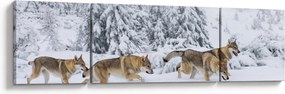 Obraz - Wilki w górach (170x50 cm)